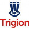 Trigion Security