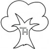 Tyler Hardwoods
