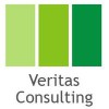 Veritas Health & Safety Consultants