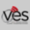 Visual Electronic Services
