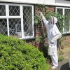 Wasp Nest Removal Berkshire