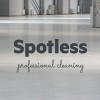 Spotless Professional Cleaning