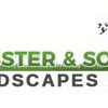 Webster & Son Landscapes