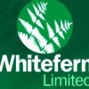 Whitefern