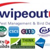 Wipeout Uk Pest Control