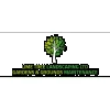 Lime Tree Landscaping