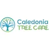 Caledonia Tree Care