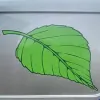 Garden Craft Landscapes