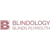 Blindology