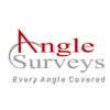 Angle Surveys