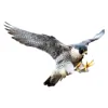 Suffolk Bird Control