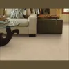 Hollygrove Flooring