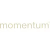 Momentum