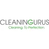 Cleaning Gurus