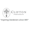 Clifton Nurseries