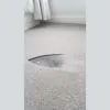 Carpet Damage Limitation