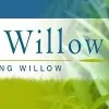 Yorkshire Willow