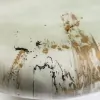Alchemy Finishes