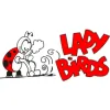 Ladybirds Cleaning Services
