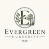 Evergreen Nurseries