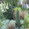 Gooderham Horticulture
