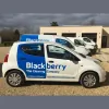 Blackberry The Cleaning