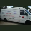 Amero Carpets
