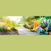 Hoe & Mow Garden Services