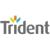 Trident Building Consultancy