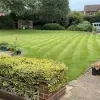 Top Lawn