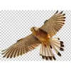 Falcon Furnishers