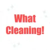 What Cleaning