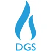 Domestic Gas Services