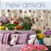 Alexander Interiors