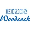 Birds Woodcock