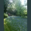 Mckenzie Garden Management