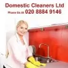 Domestic Cleaners