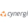 Cynergi Services