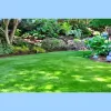 Mr Grass