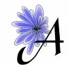 Anemone Landscapes