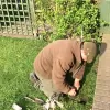 A12 Pest Management