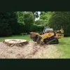 Wainwright Stump Removal