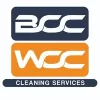 The Window Cleaning