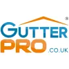The Gutter Professional