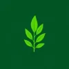 Swale Landscaping