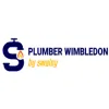 Plumber Wimbledon