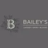 Ken Baileys