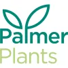 Palmer Plants