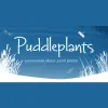 Puddleplants