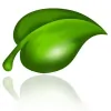 Eco Tech Oven & Carpet Cleaning